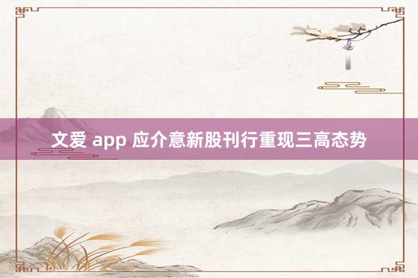 文爱 app 应介意新股刊行重现三高态势