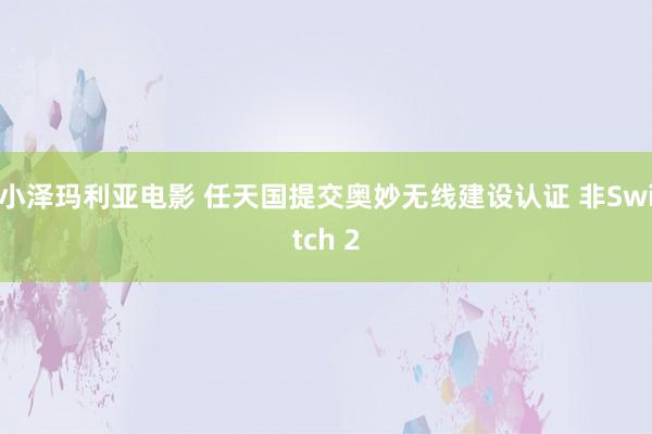 小泽玛利亚电影 任天国提交奥妙无线建设认证 非Switch 2